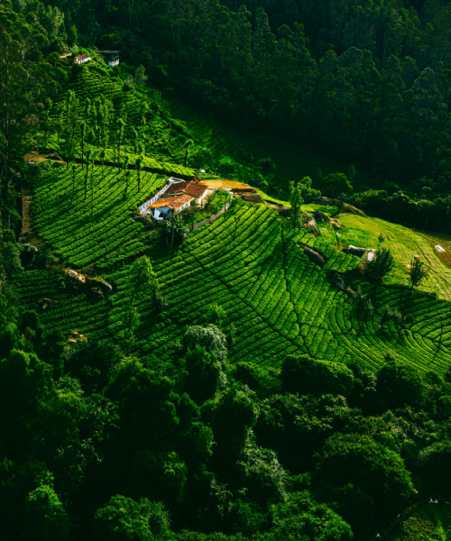 About Aaditya Global Tourism